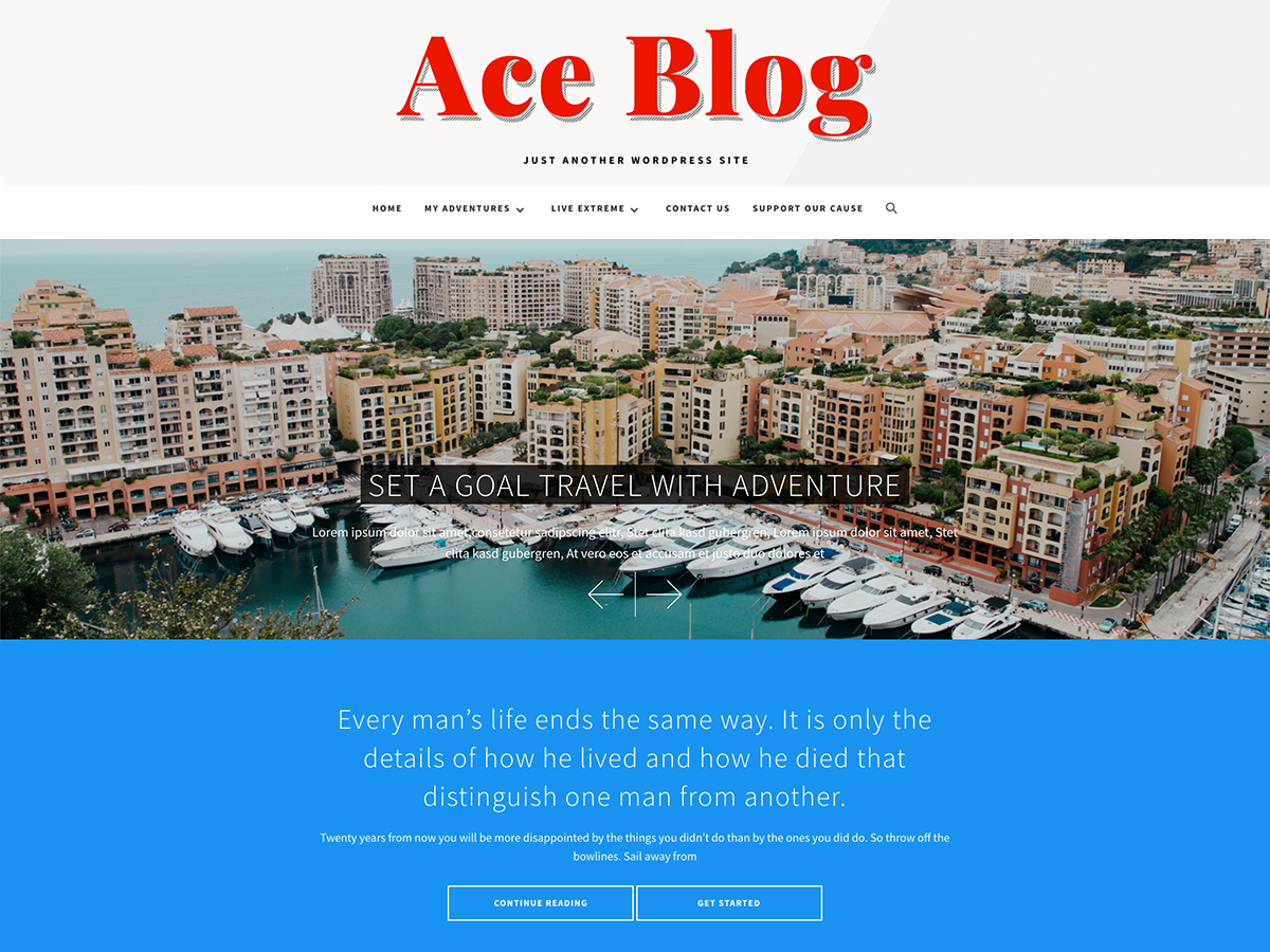 Ace Blog