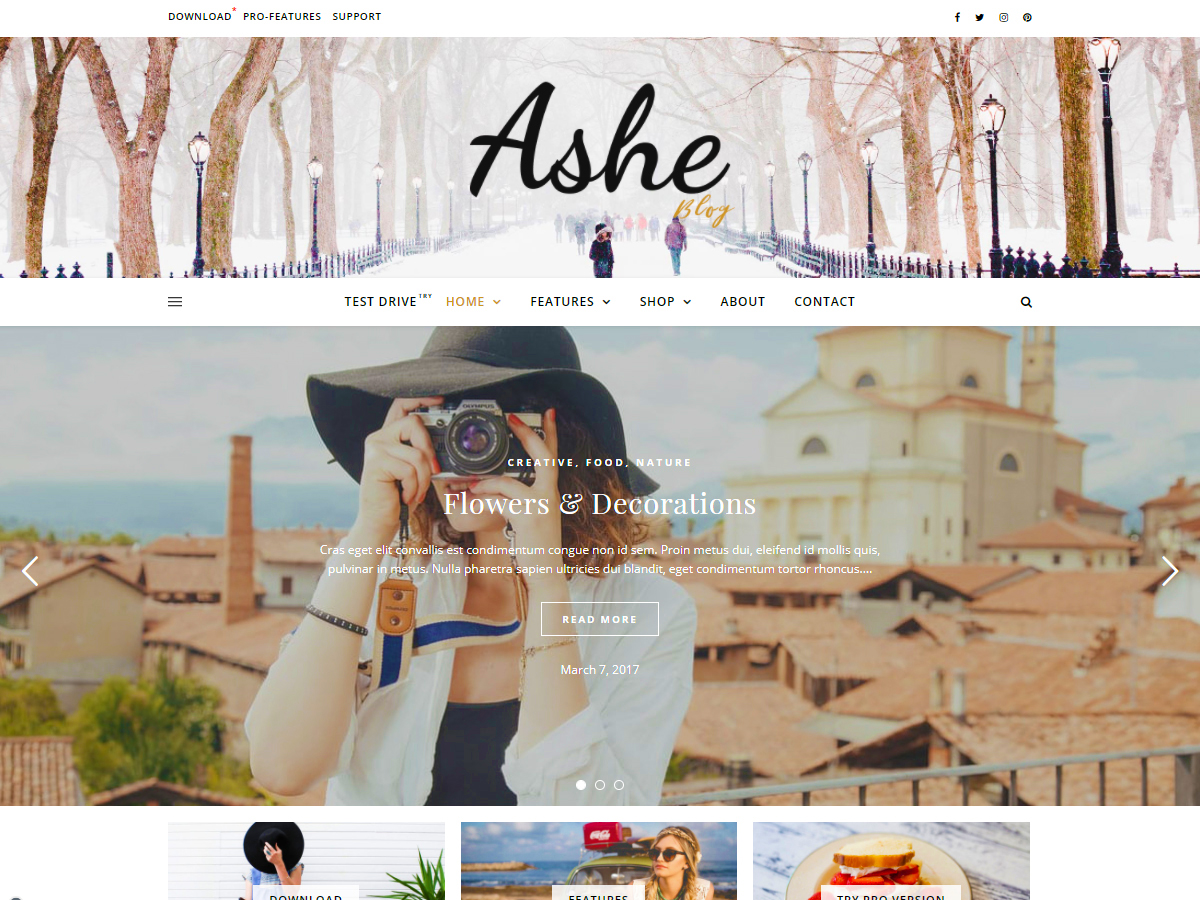 2024 年 64 个优秀免费 wordpress 博客主题 23 ashe