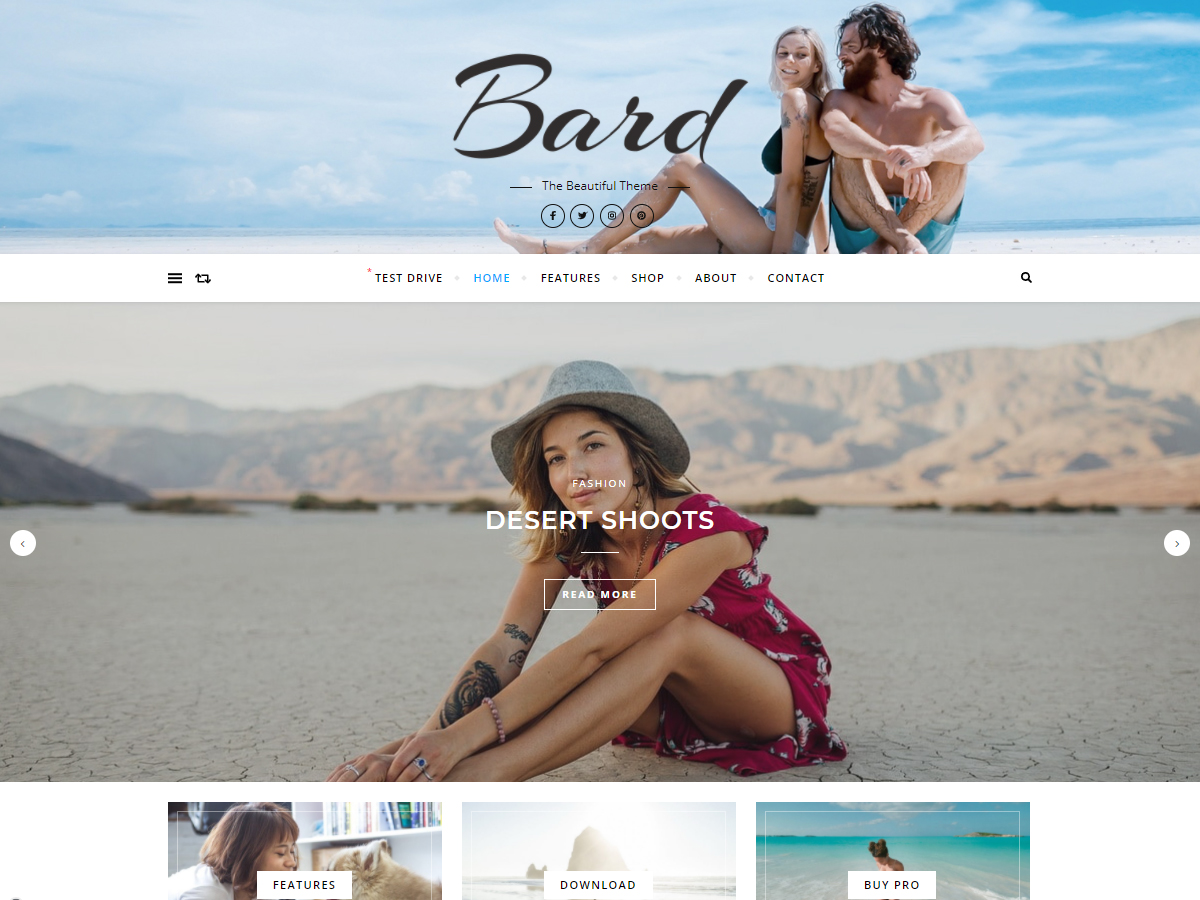 Screenshot of the Bard theme