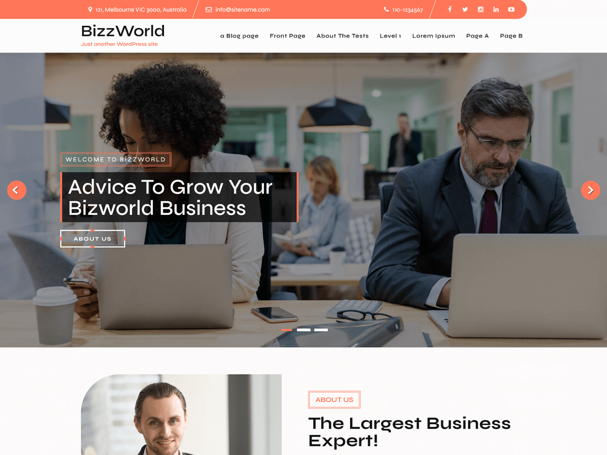 Bizworld Lite