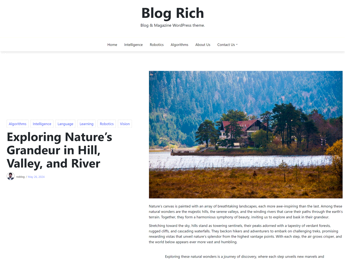 Blog Rich