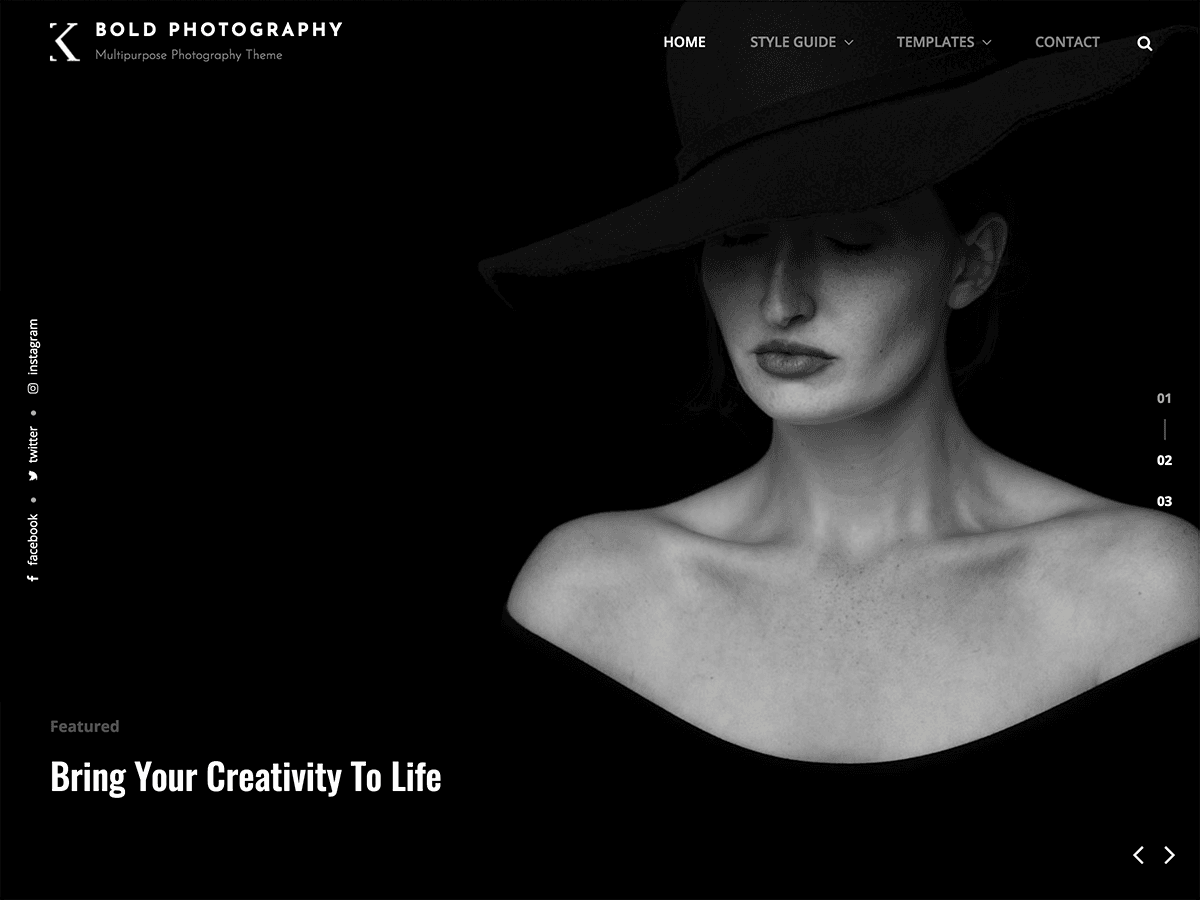 2024 年 64 个优秀免费 wordpress 博客主题 61 bold photography