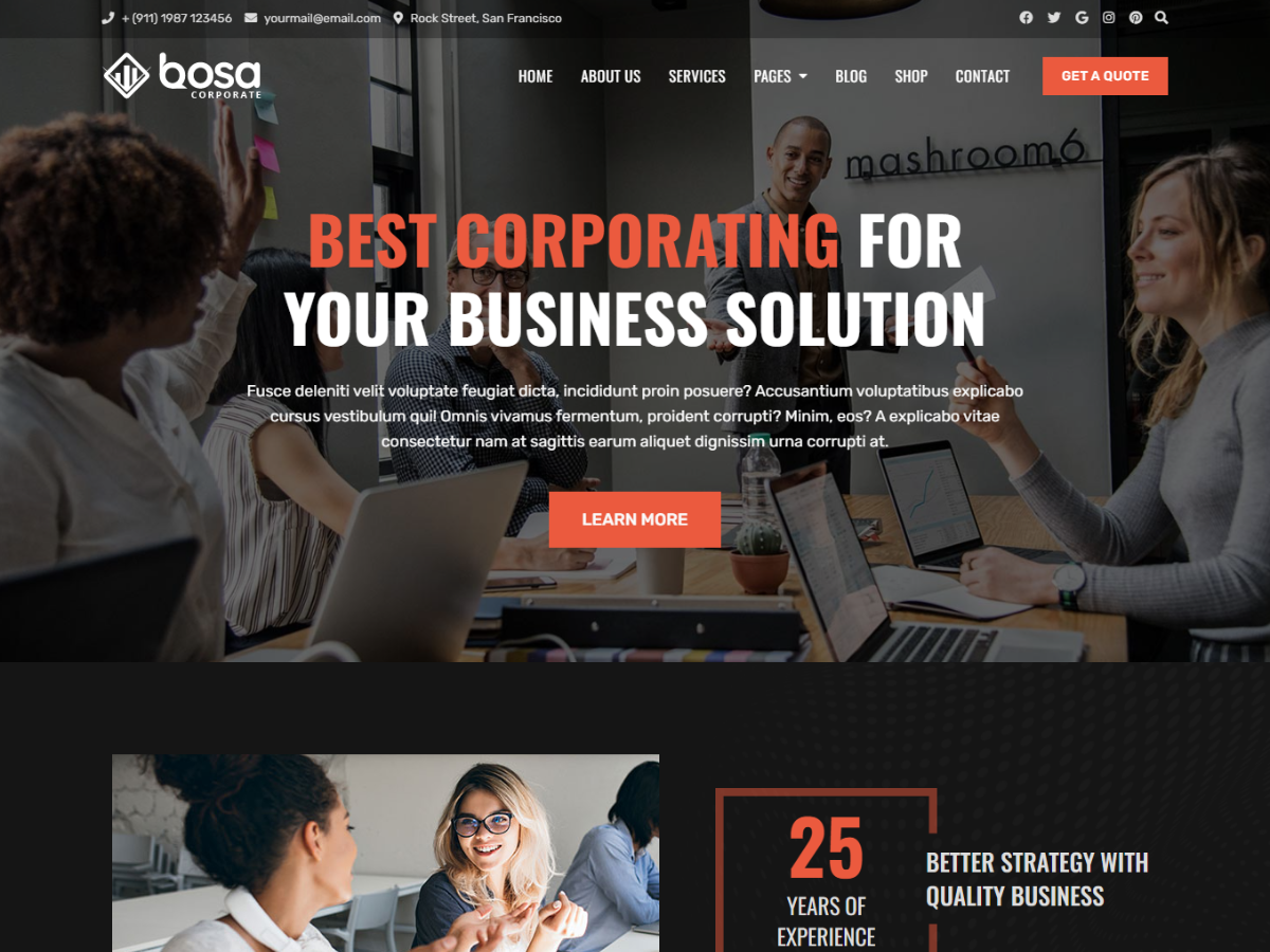 Bosa Corporate Dark