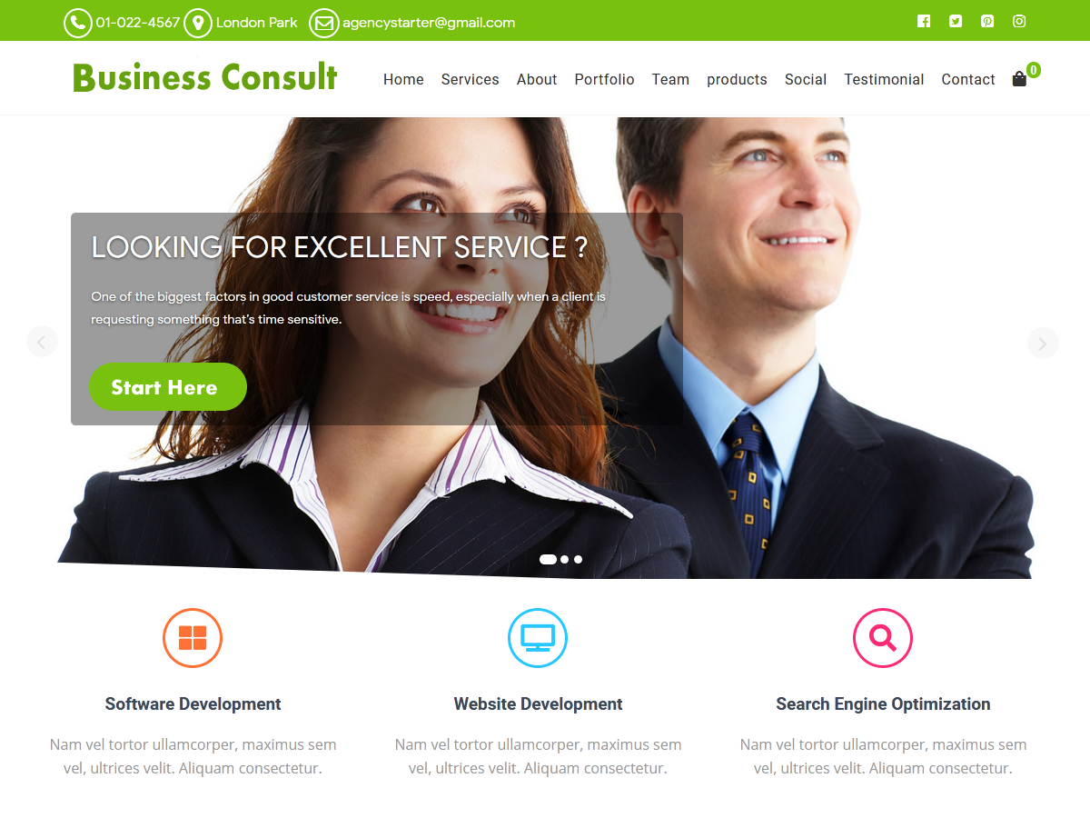 Business Consult