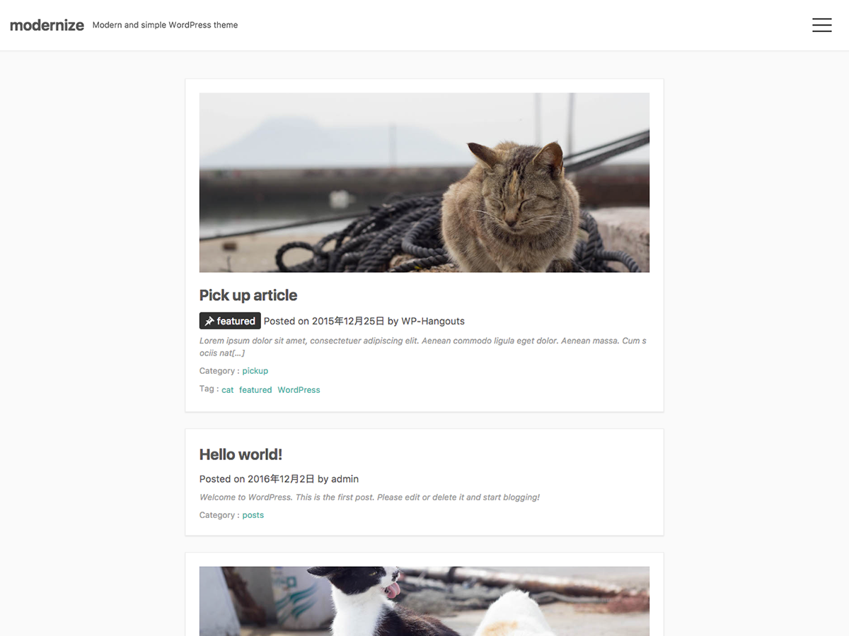 screenshot of theme modernize