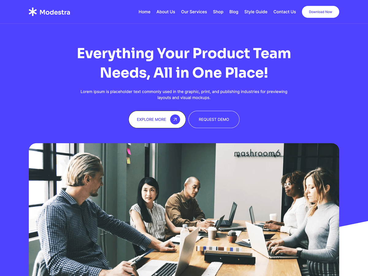 Modestra 1.0.3 – WordPress Theme
