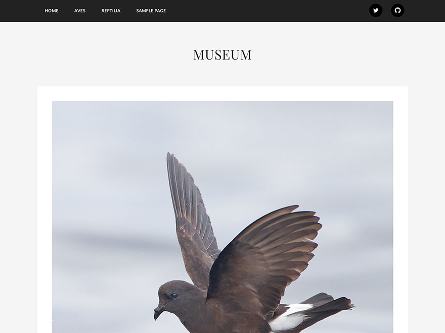 Preview of theme Museum
