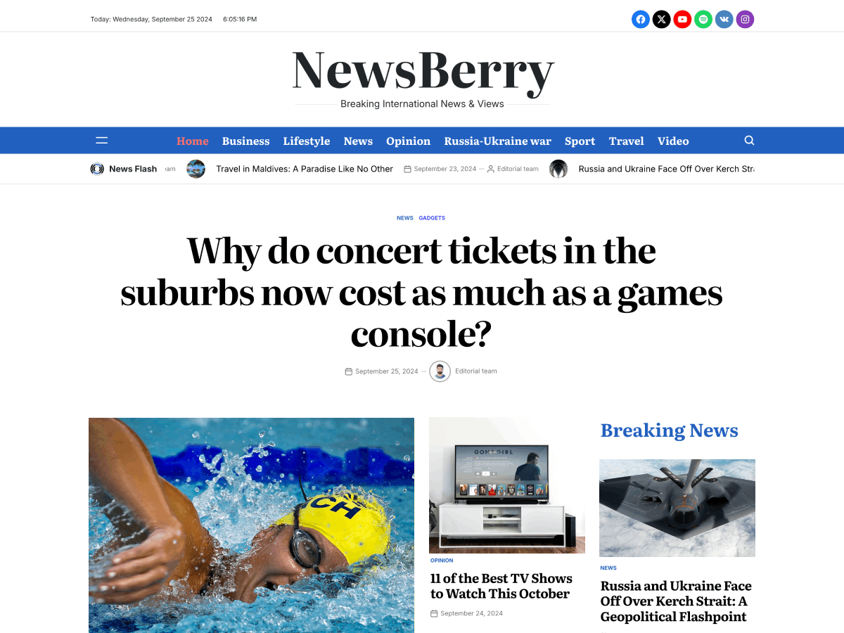 NewsBerry 1.2.3 – WordPress Theme