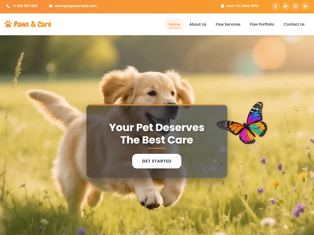 Paws and Care