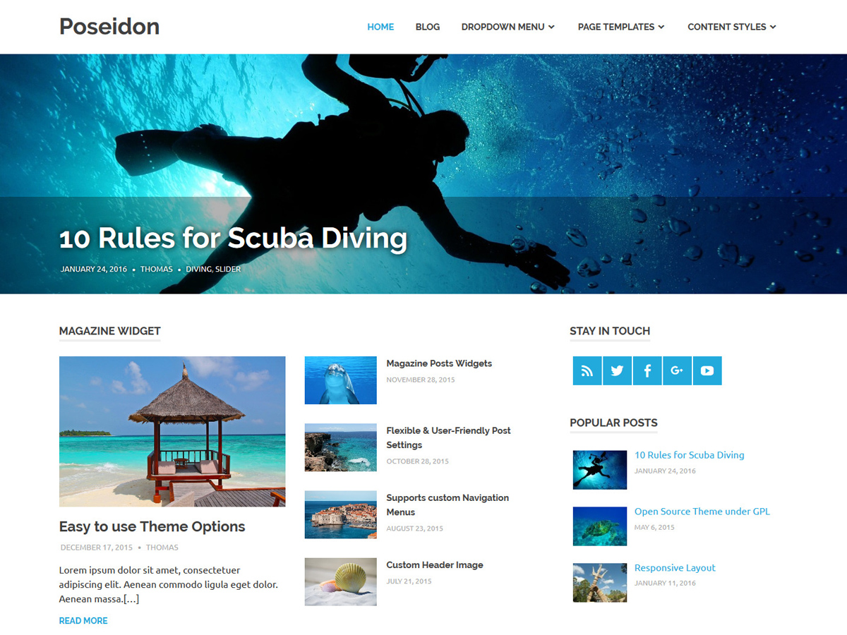 2024 年 64 个优秀免费 wordpress 博客主题 13 poseidon