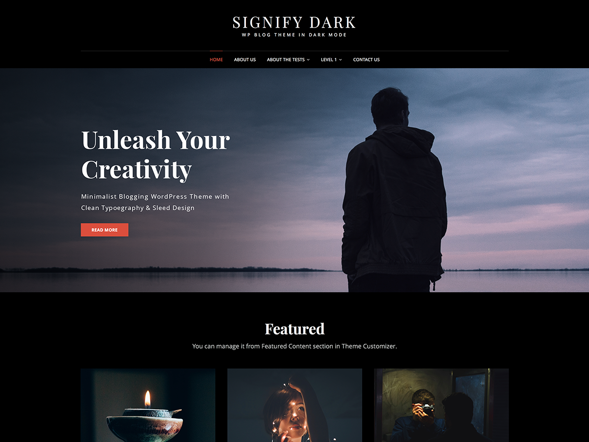 Signify Dark 2.3.1 – WordPress Theme