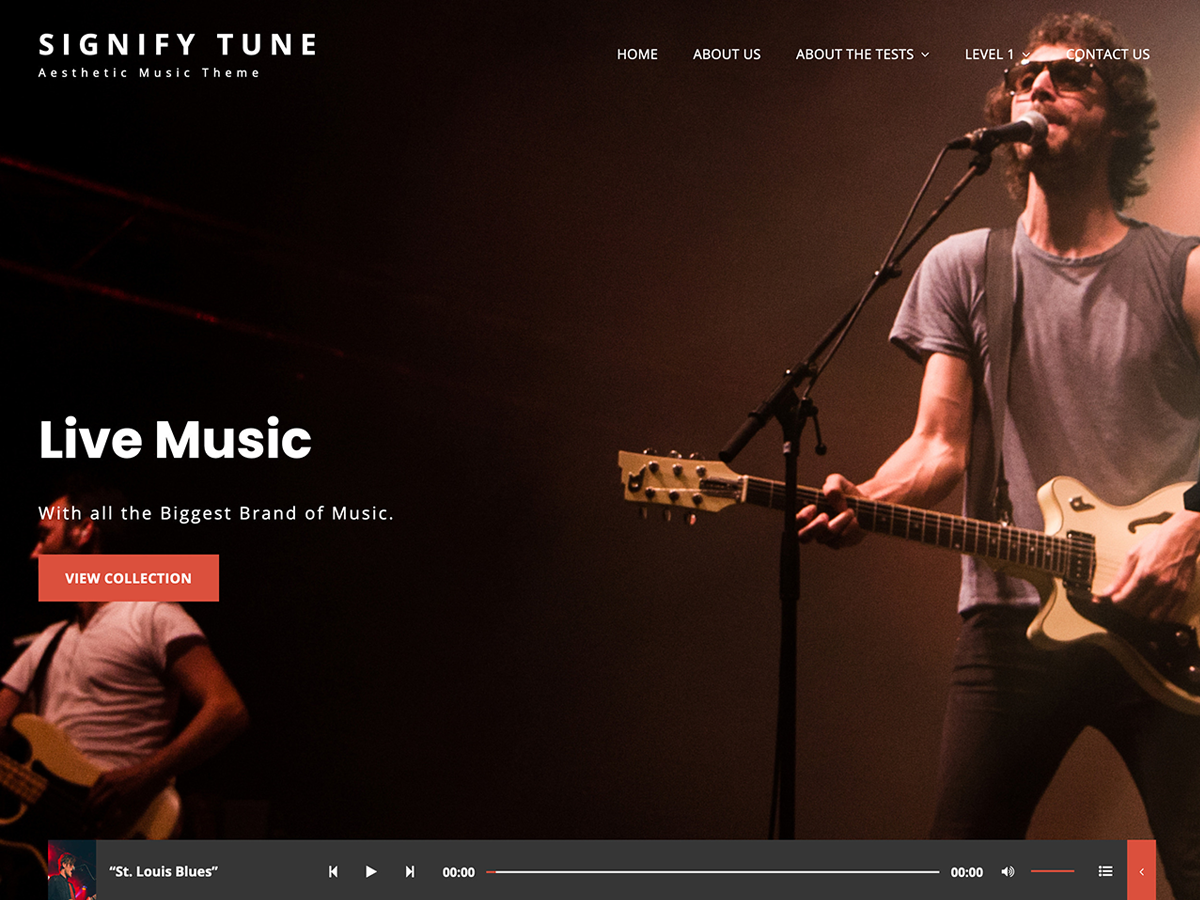 Signify Tune 1.2 – WordPress Theme