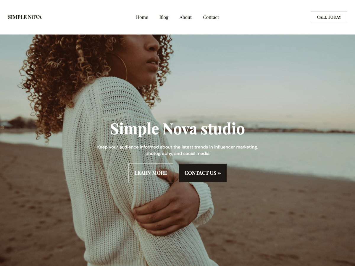 2024 年 64 个优秀免费 wordpress 博客主题 52 simple nova