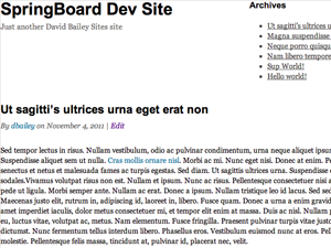 Preview of theme SpringBoard