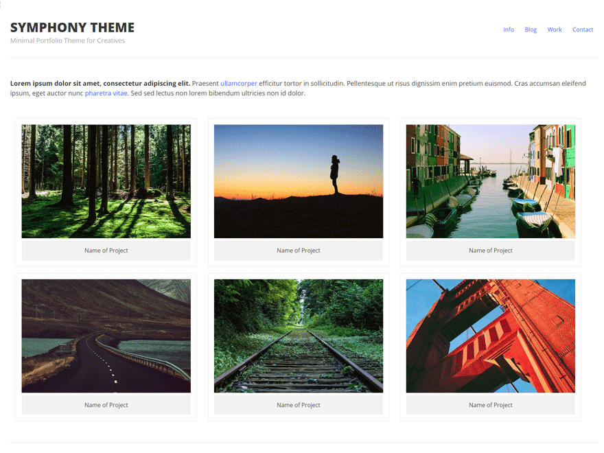 Screenshot of the Symphony theme