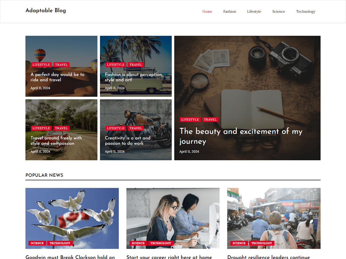 Adaptable Blog Screenshot