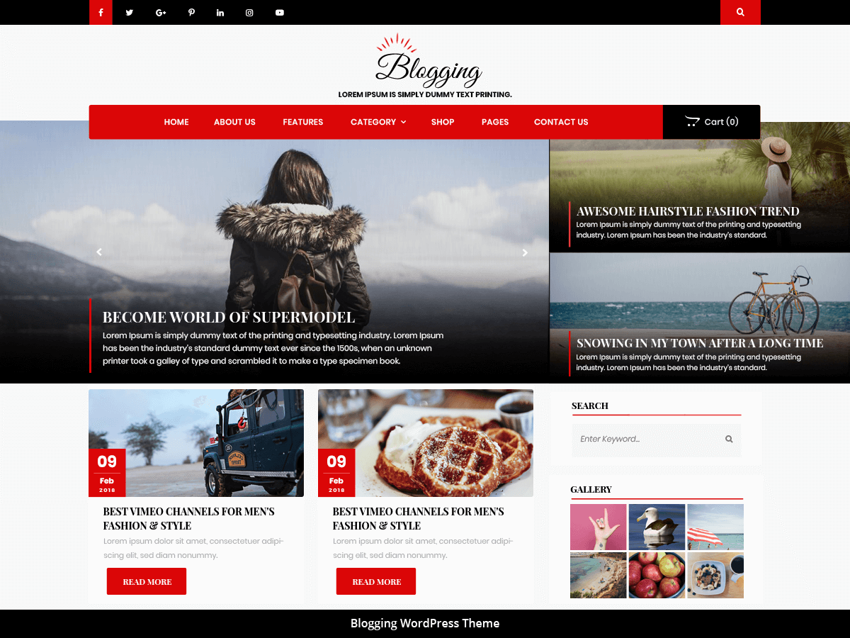 Advance Blogging WordPress Theme by access-keys