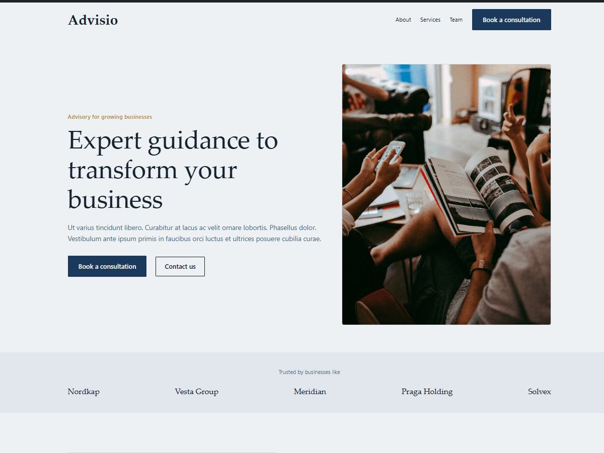 Advisio theme preview
