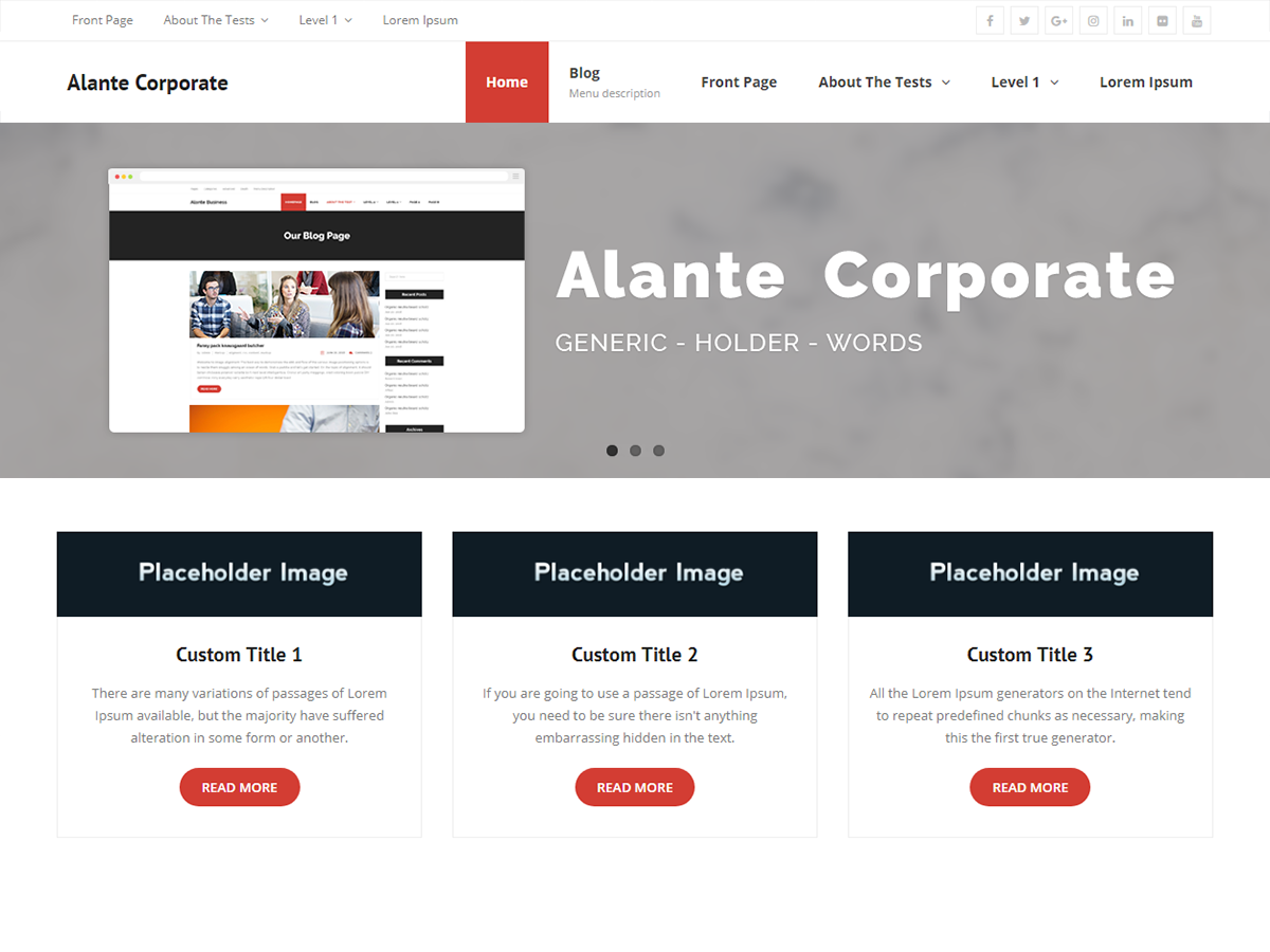Alante Corporate Screenshot