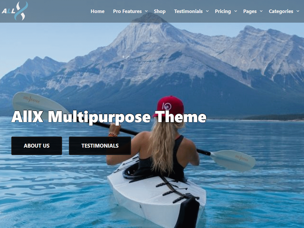 Allx AllX - Multifunctional WordPress Theme for Websites