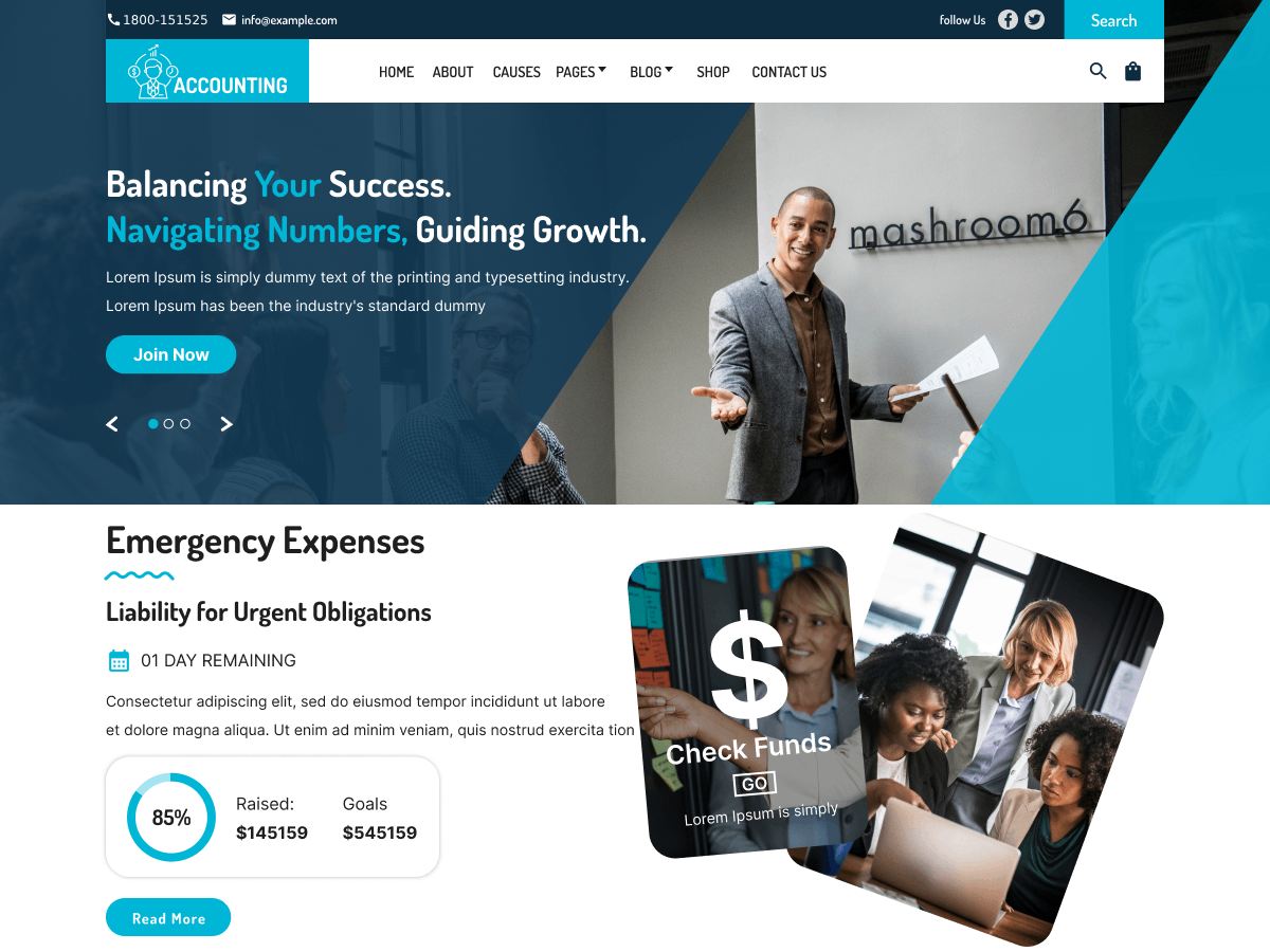 Alpha Accounting screenshot