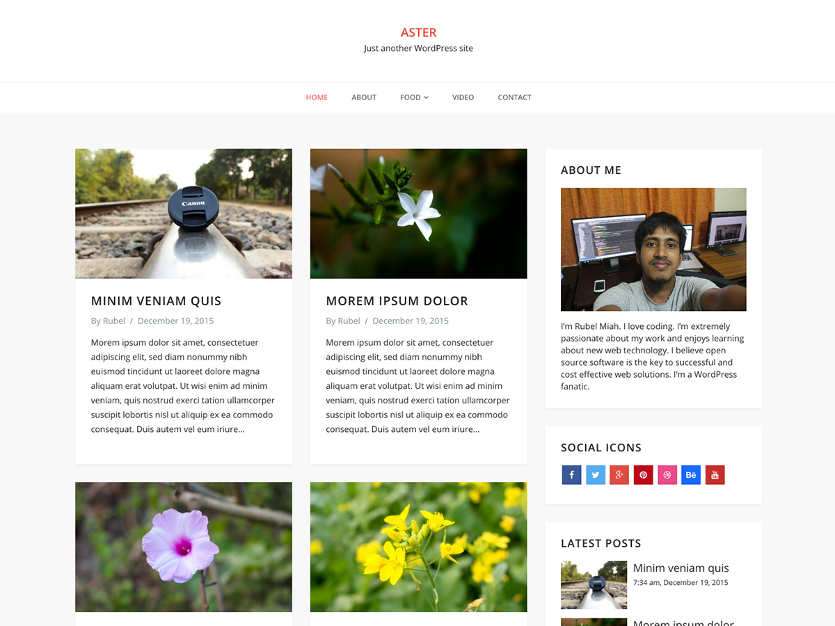 Aster WordPress Theme by kaira