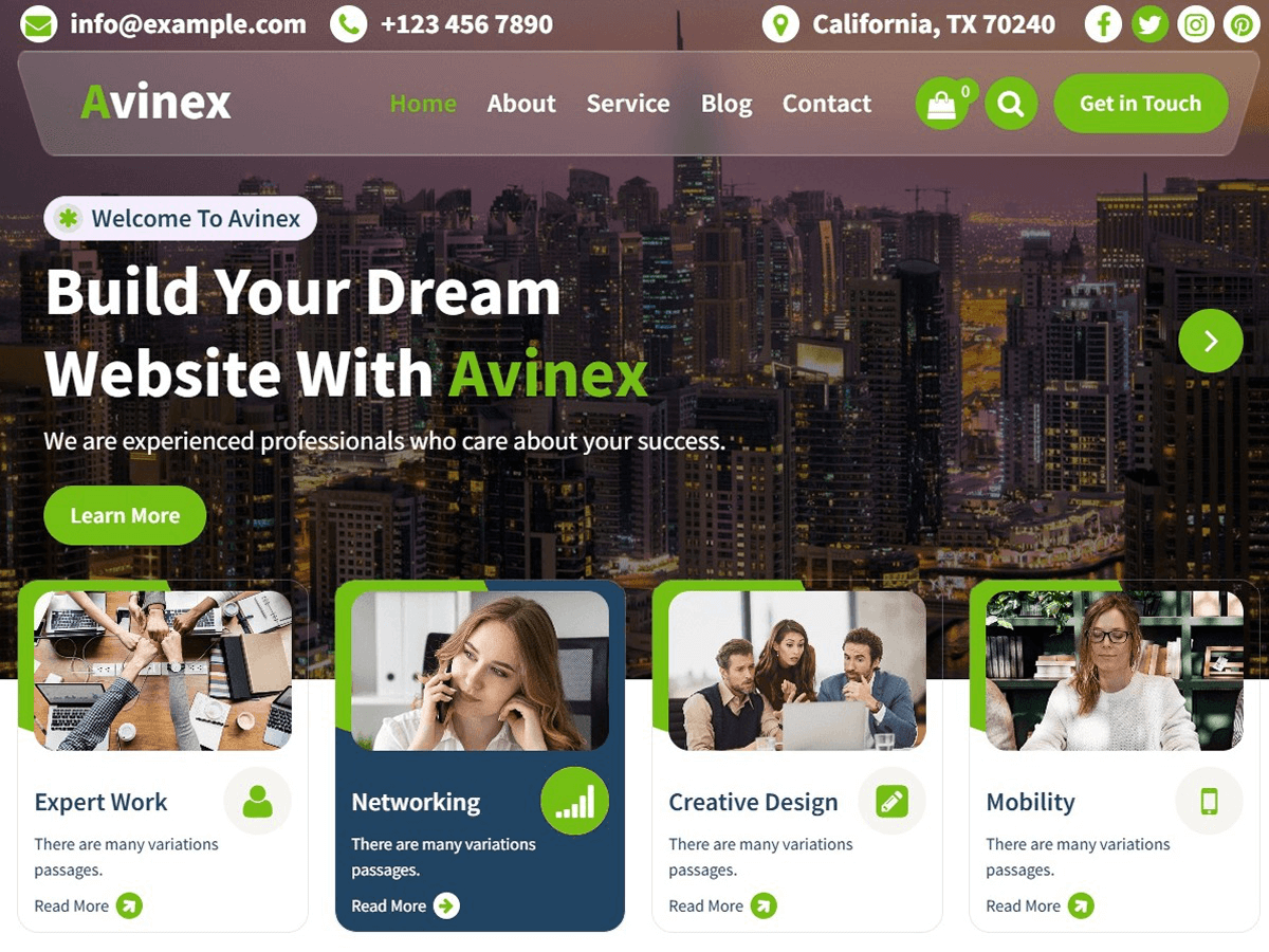 Avinex screenshot