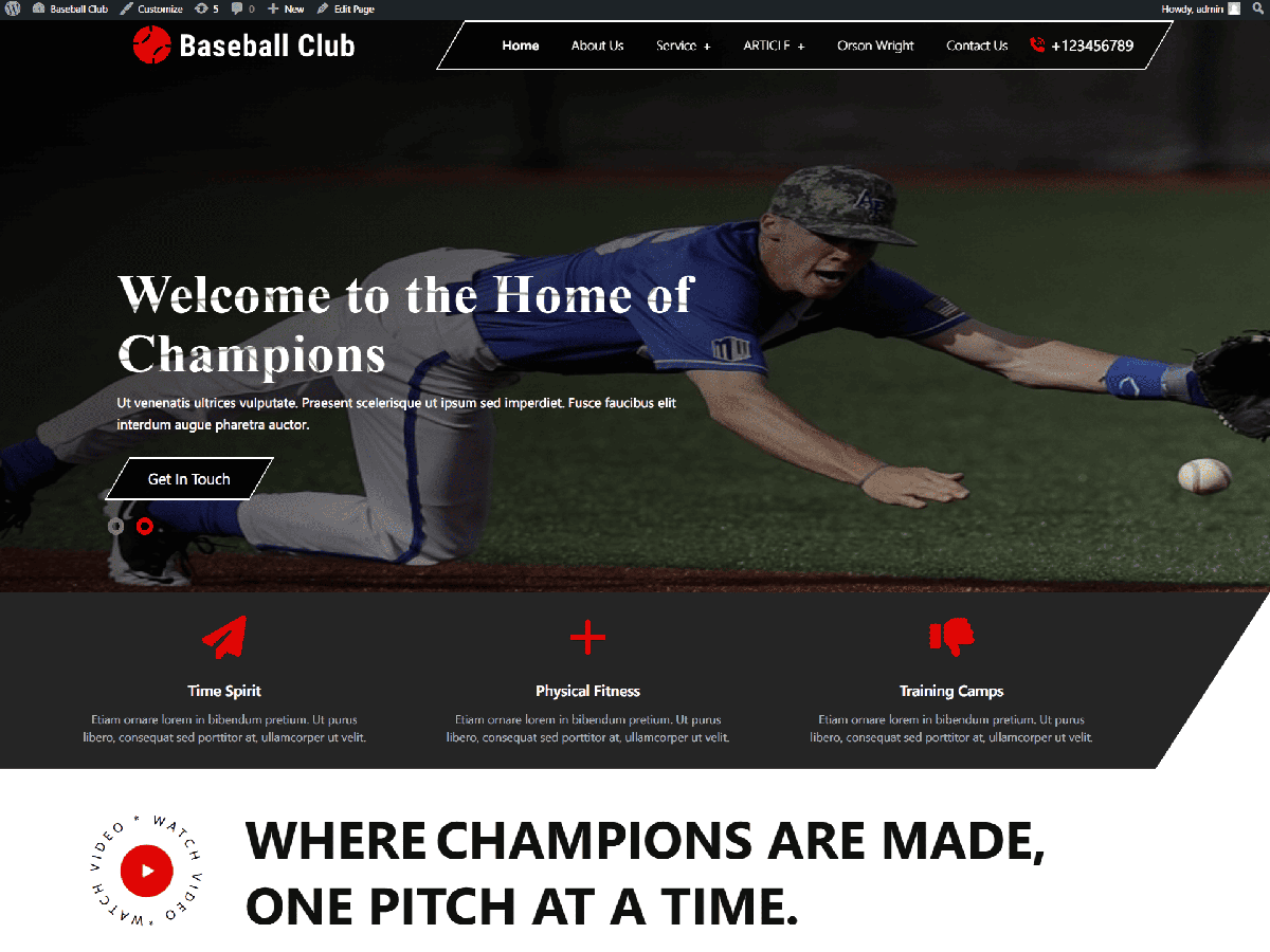 Baseball Sports Club screenshot