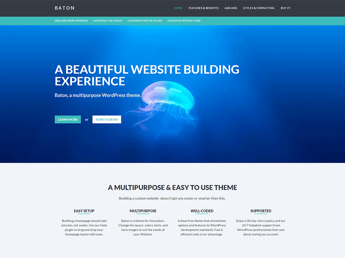 Baton WordPress Theme by slocumstudio