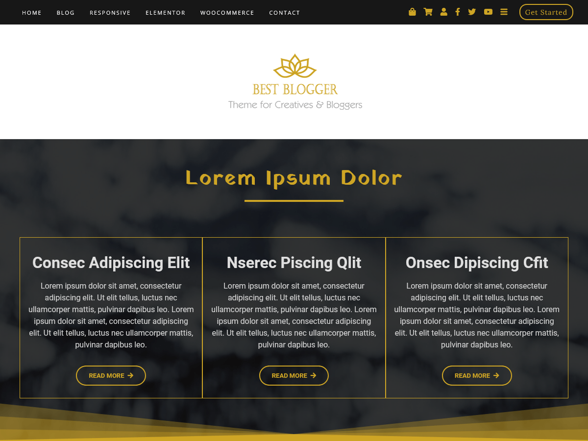 Best Blogger Screenshot