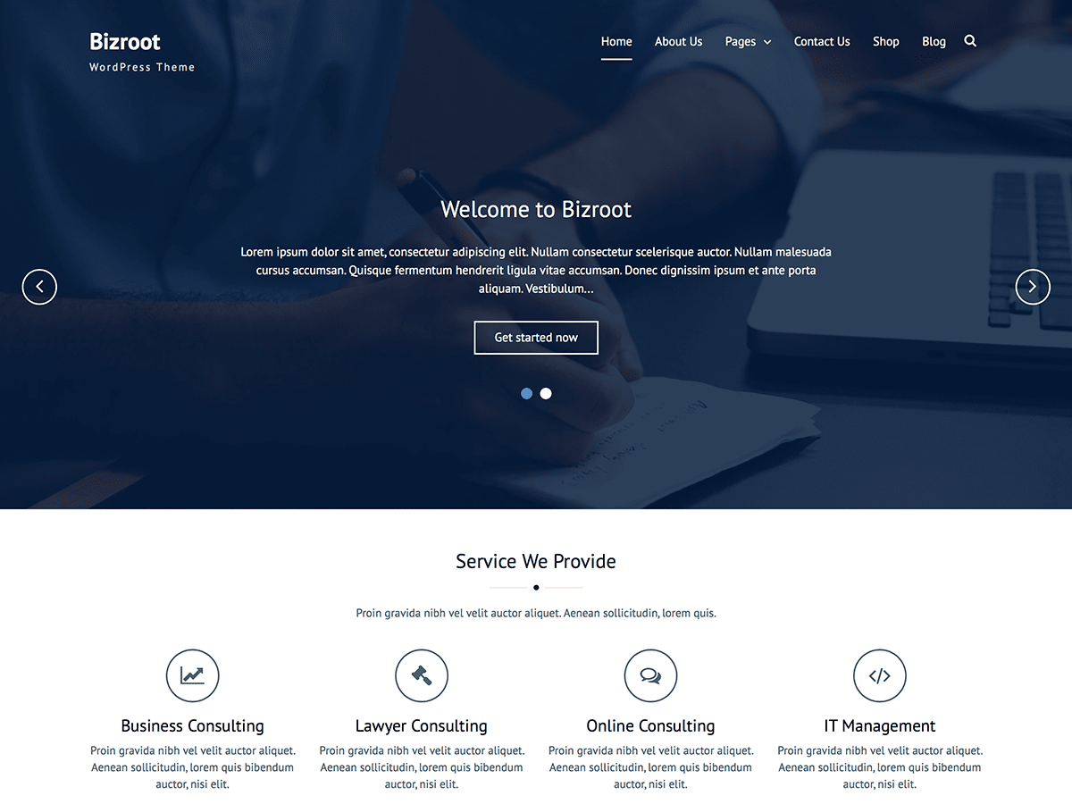 Bizroot screenshot