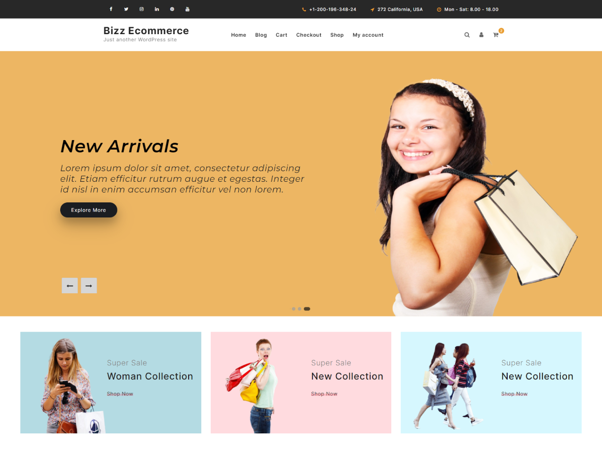 Bizz Ecommerce Screenshot