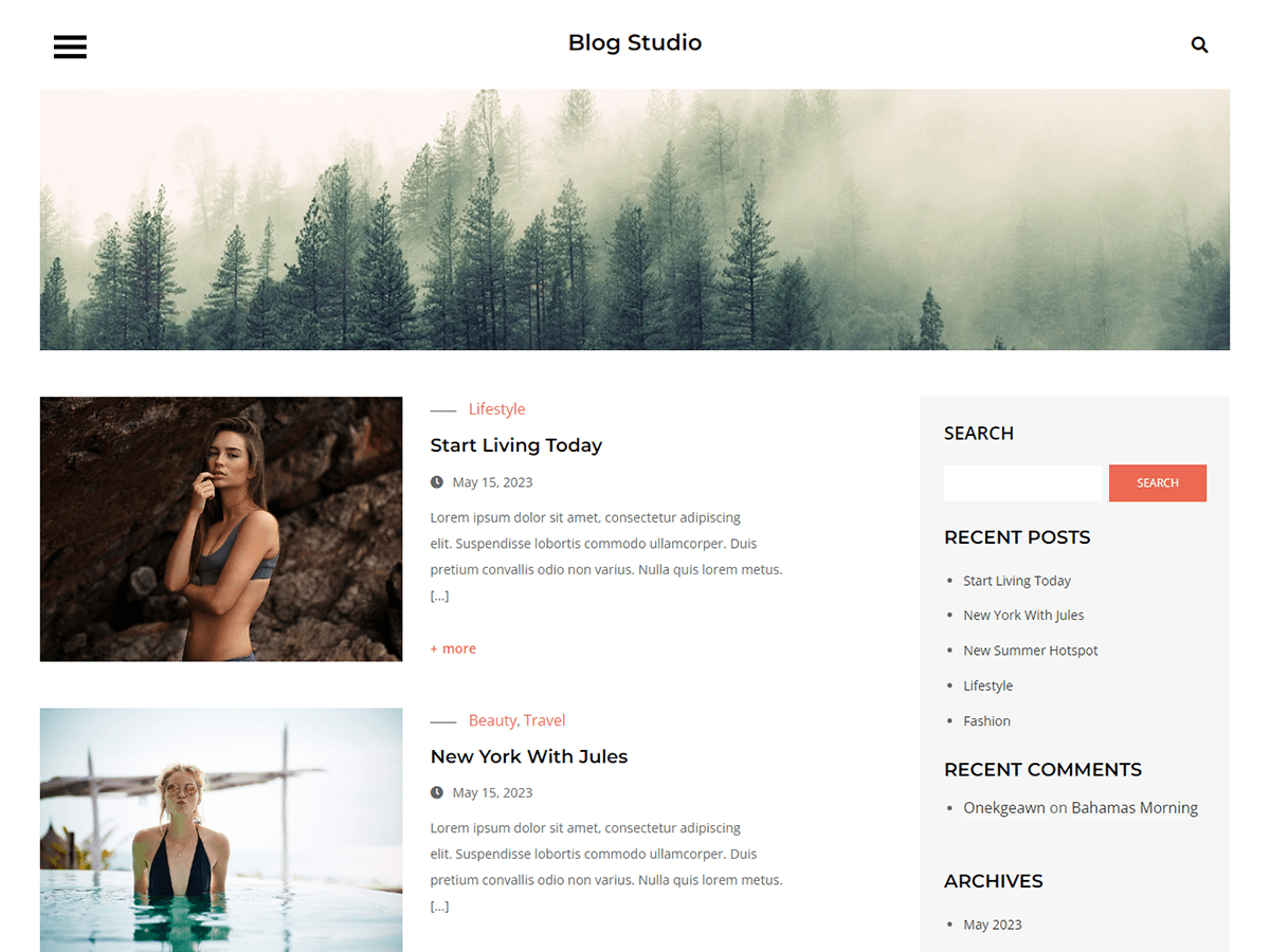 Blog Studio Screenshot