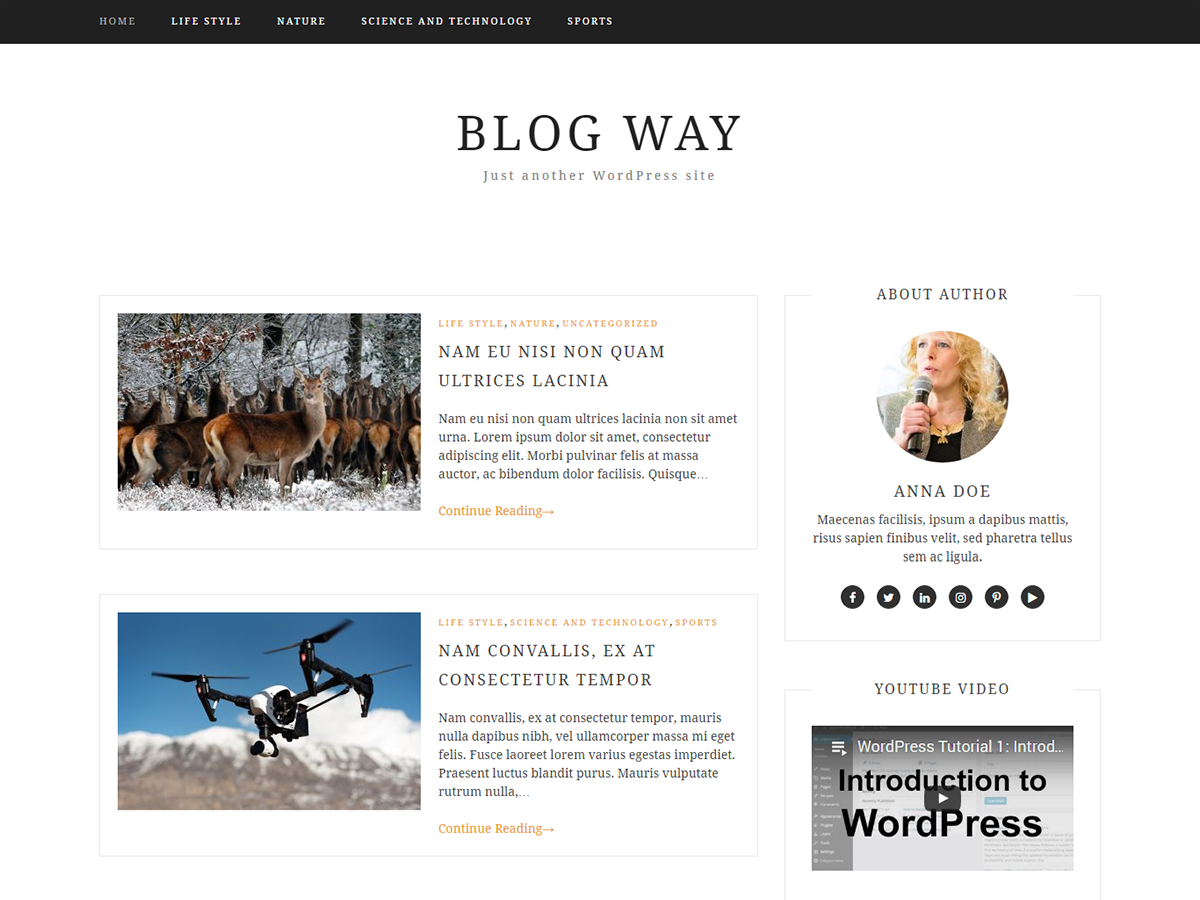 Blog Way WordPress Theme by themefreesia