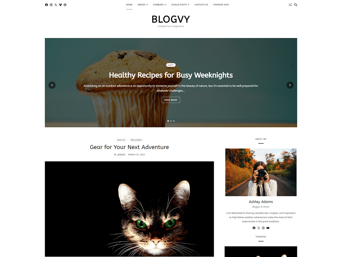Blogvy screenshot