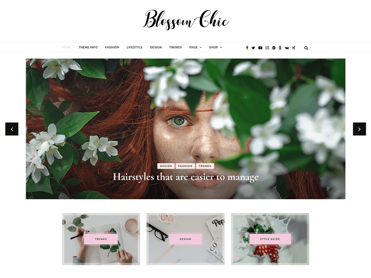 Blossom Chic WordPress Theme by themehorse