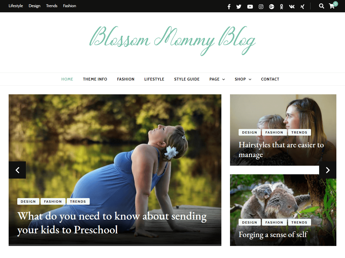 Blossom Mommy Blog WordPress Theme by webhuntinfotech
