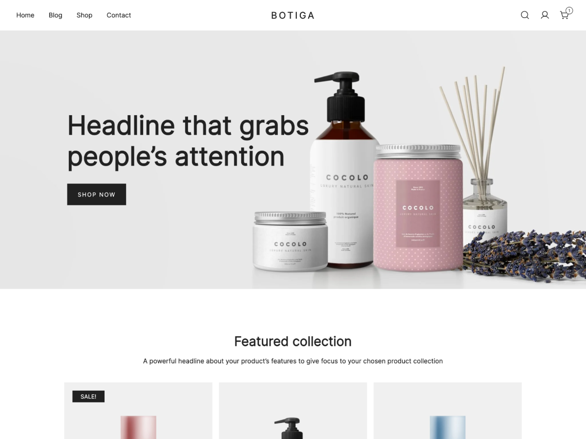 Botiga WordPress theme screenshot