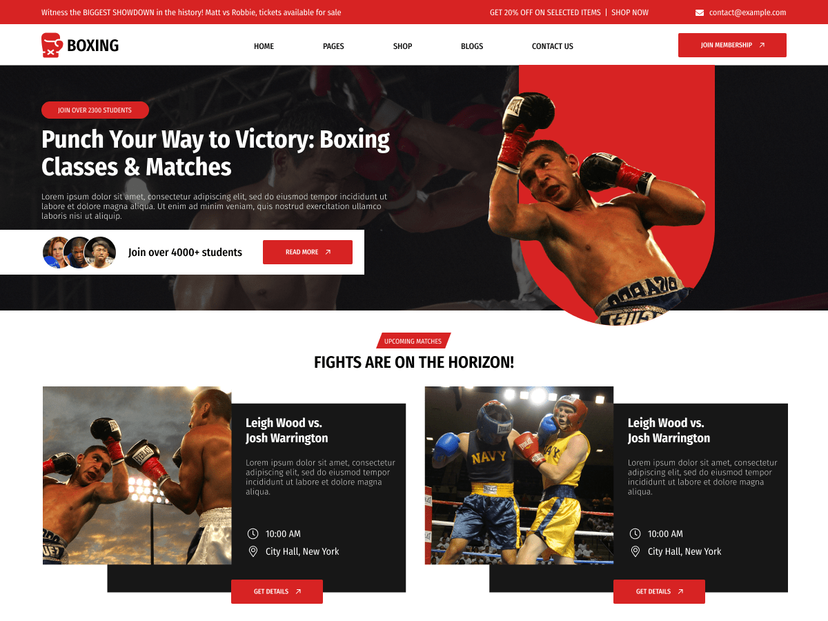 Boxing Martial Arts screenshot