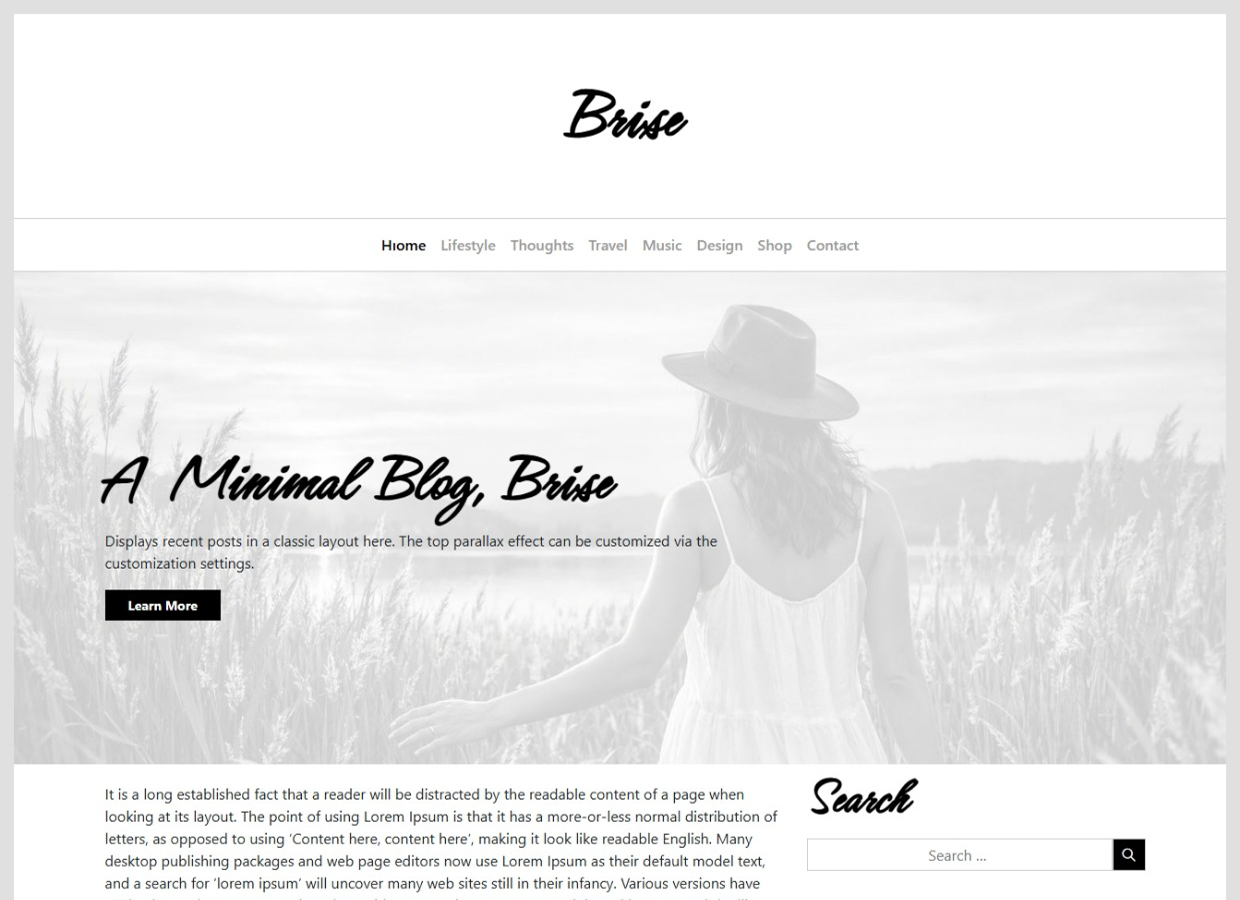 Brise