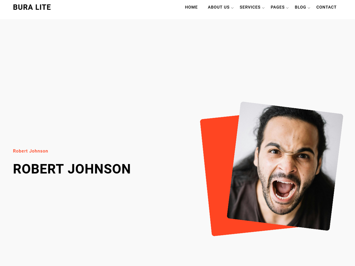 Bura Lite Screenshot