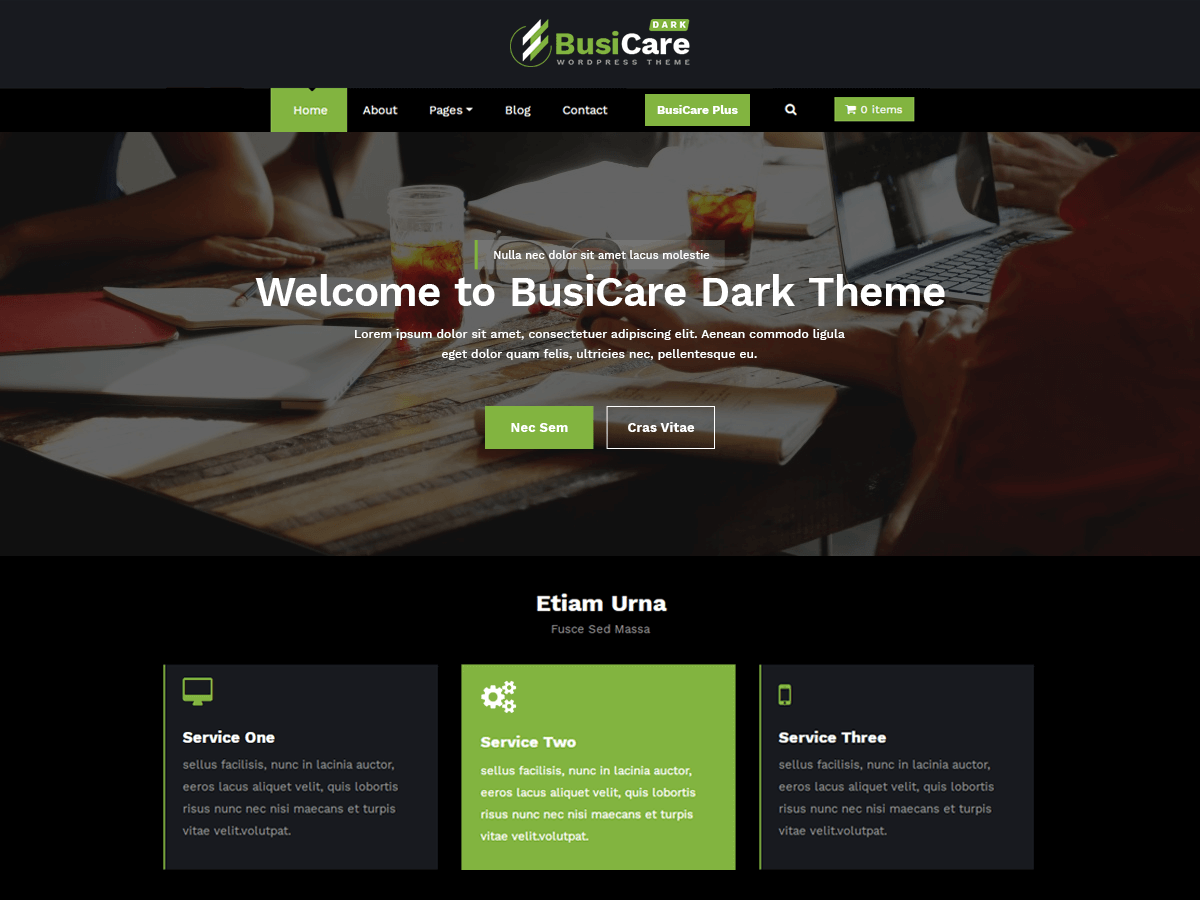 BusiCare Dark Screenshot