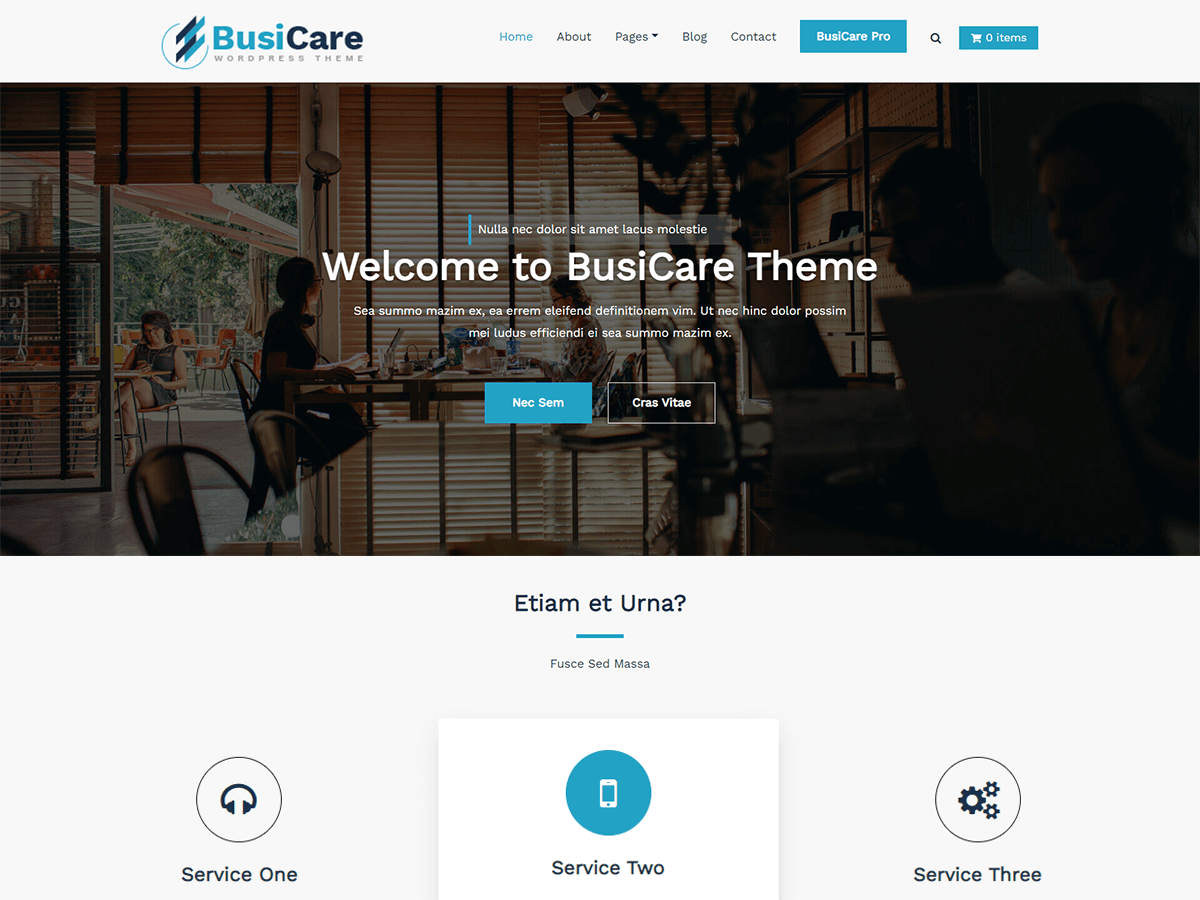 BusiCare Screenshot