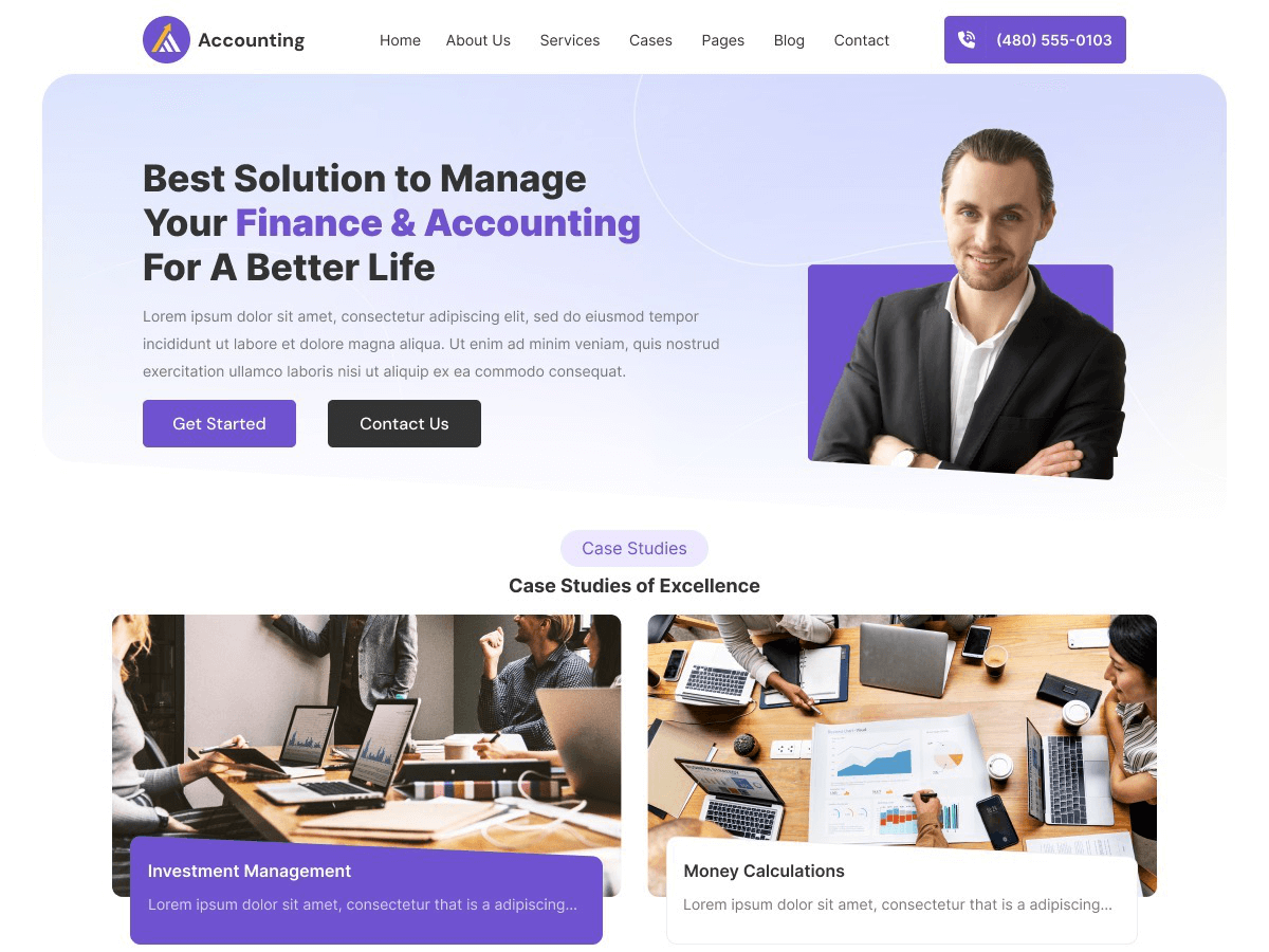 Business Accountant screenshot