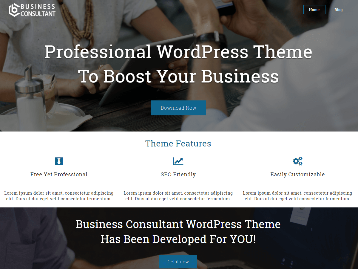 Business Consultant
