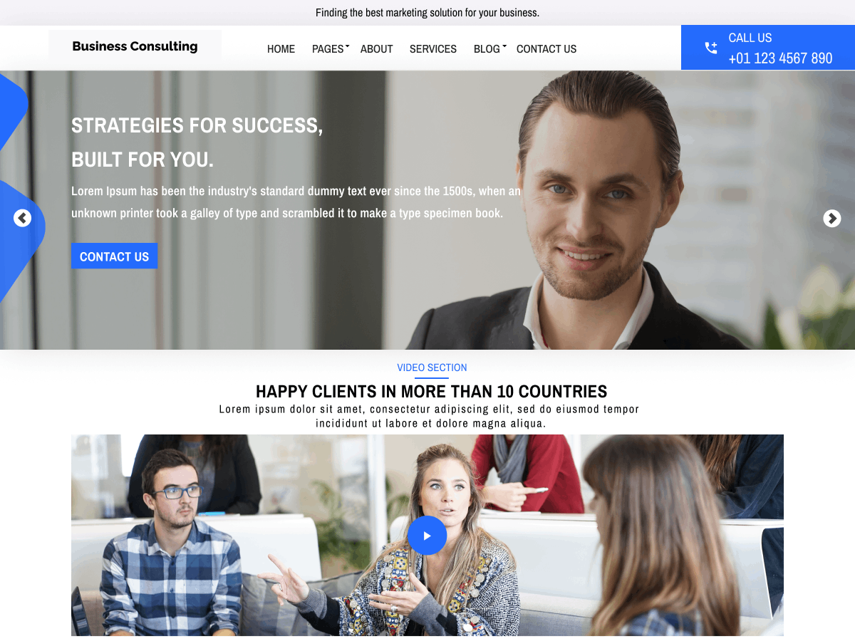 Business Consulting Agency screenshot