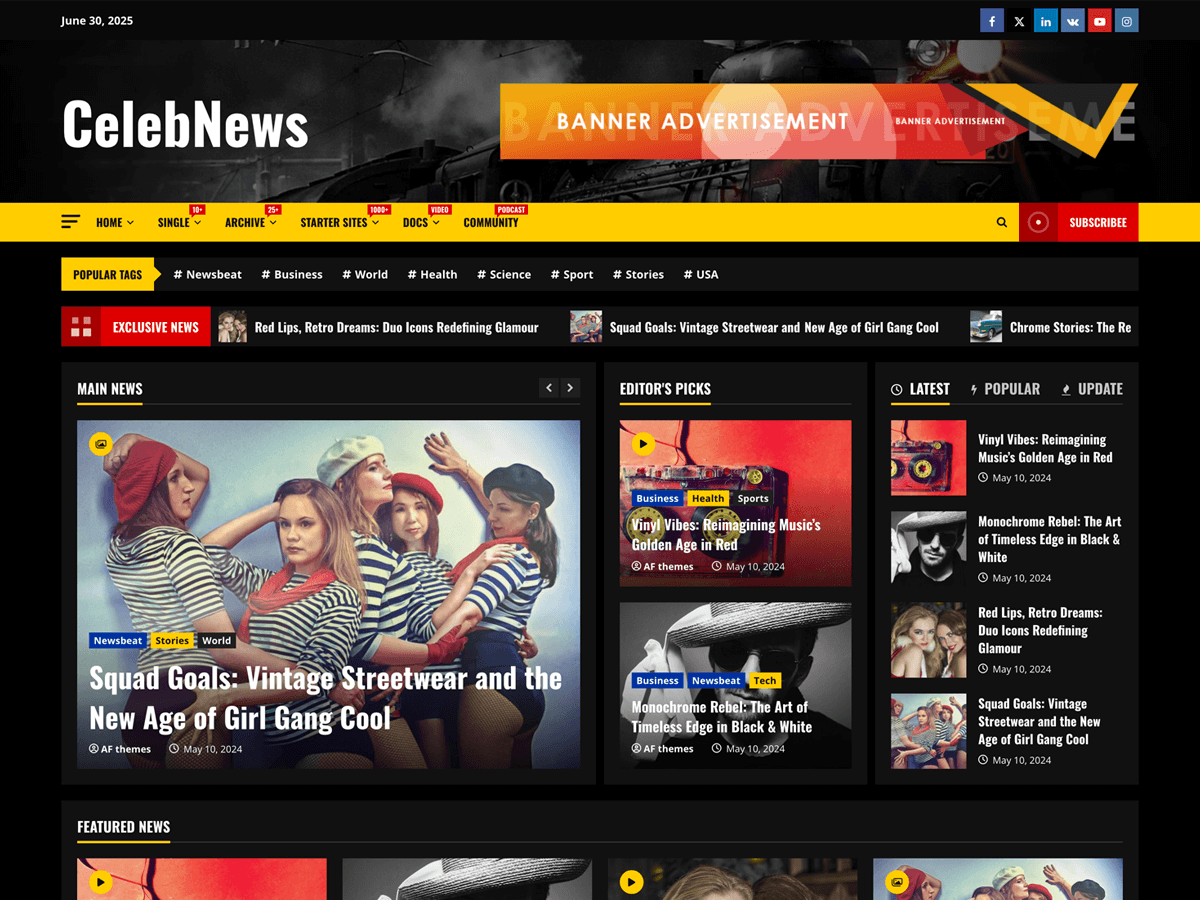 CelebNews WordPress 主题预览图,适合公益社群