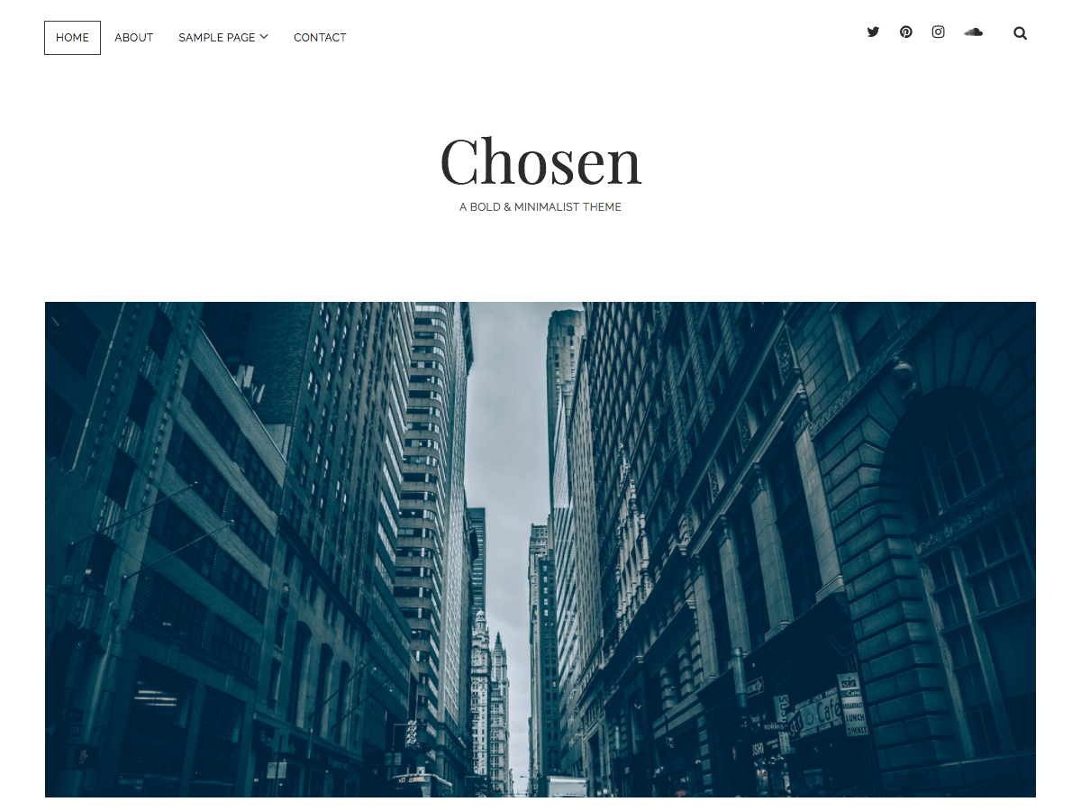Chosen WordPress Theme by blossomthemes