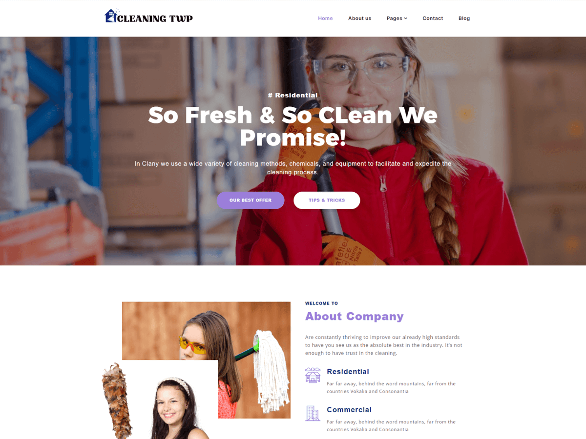 Cleaning Elementor Screenshot