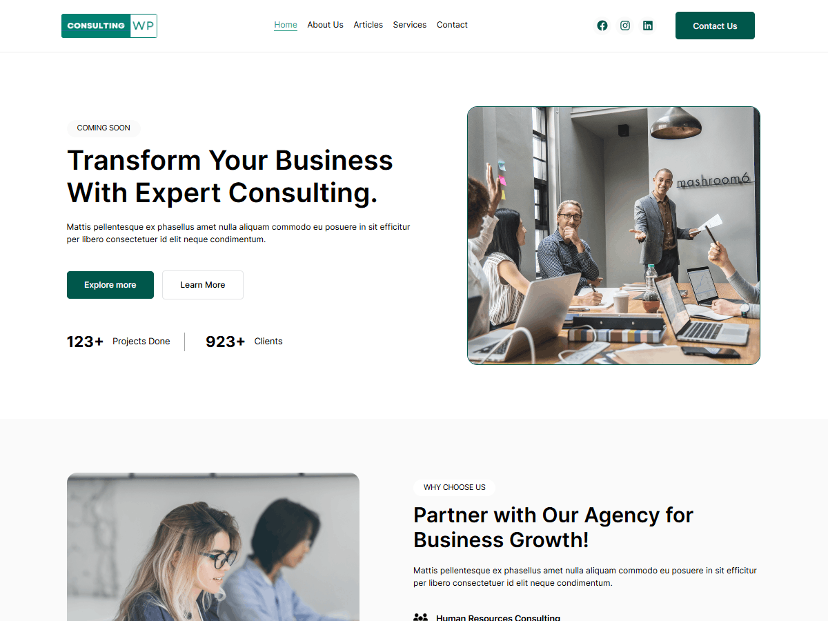 ConsultingWP Light